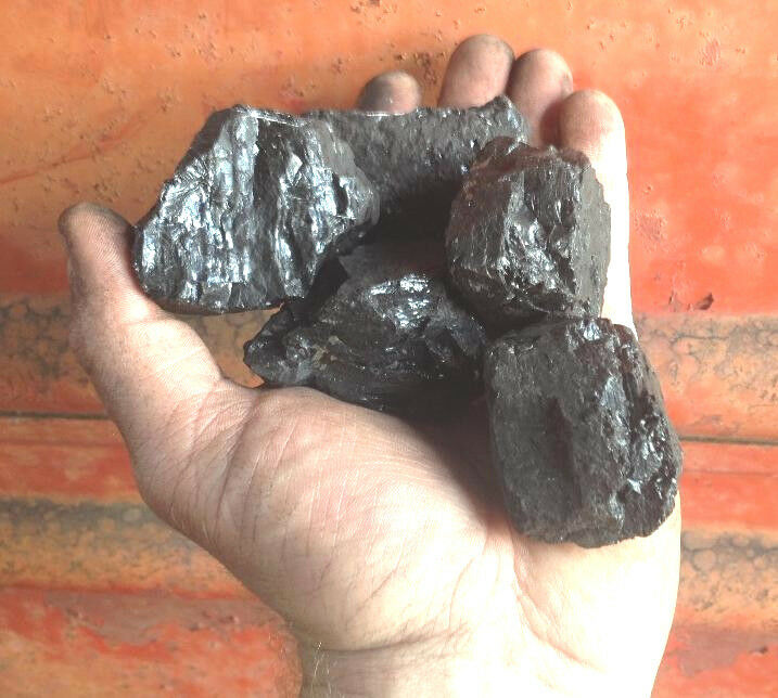 Forge Coal 25lbs