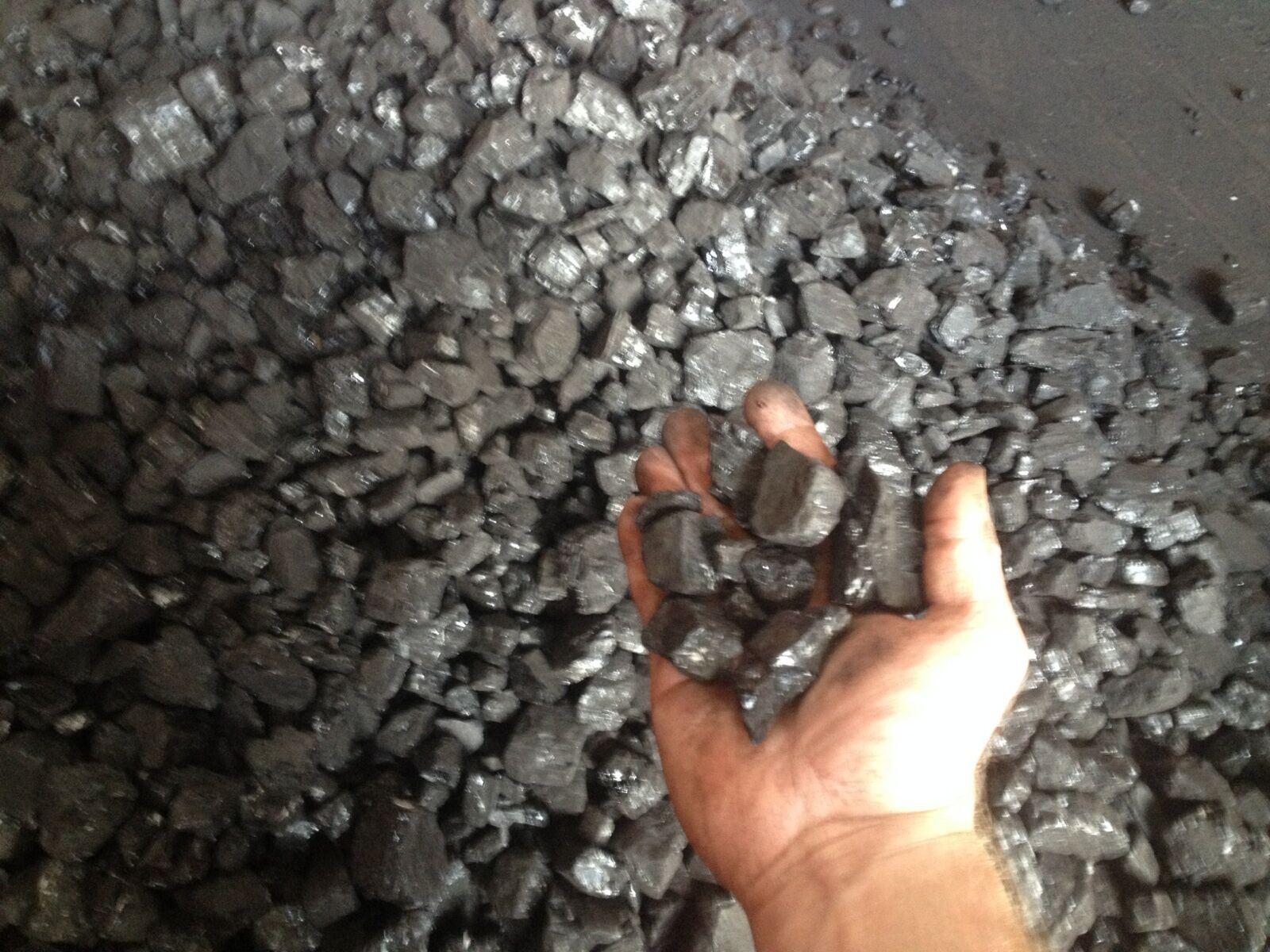 Bituminous Blacksmith Coal 50lbs